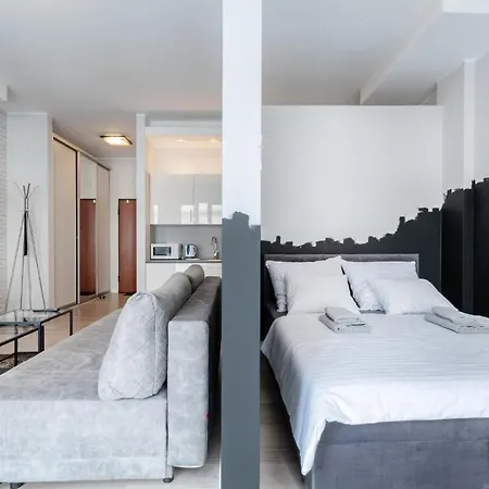 Old Town Spot Apartment Posen